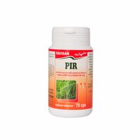 Pir, 70 capsule, Favisan
