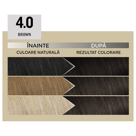 Vopsea permanenta  Plex Rebuilder IL Salone, 4.0, Brown Castano, Alfaparf 645379