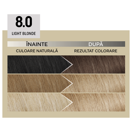 Vopsea permanenta Plex Rebuilder Il Salone, 8.0, Light Blonde, Alfaparf 645397