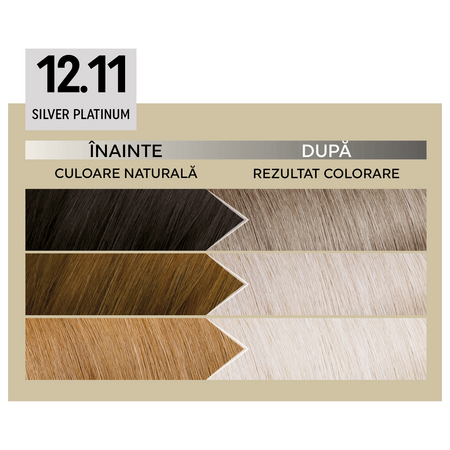 Vopsea de par permanenta Plex Rebuilder Il Salone, 12.11, Silver Platinum, Alfaparf 645409