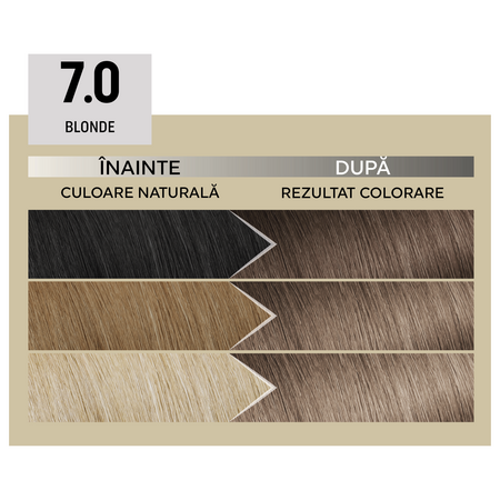 Vopsea de par permanenta Plex Rebuilder Il Salone, 7.0, Blonde, Alfaparf 645505