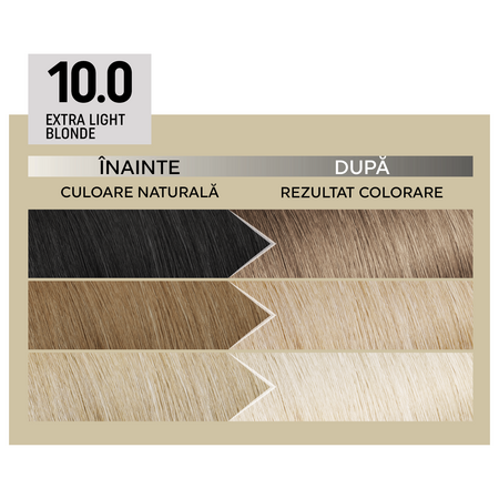 Vopsea de par permanenta Plex Rebuilder Il Salone, 10.0, Extra Light Blonde, Alfaparf 645563