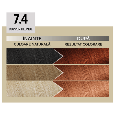 Vopsea de par permanenta Plex Rebuilder Il Salone, 7.4, Copper Blonde, Alfaparf 645589