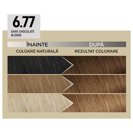 Vopsea de par permanenta Plex Rebuilder Il Salone, 6.77, Dark Chocolate Blonde, Alfaparf 645671