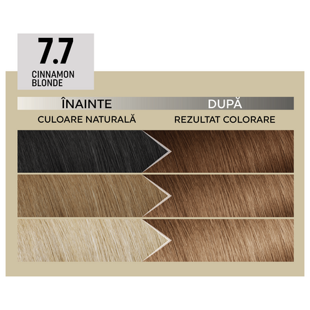 Vopsea de par permanenta Plex Rebuilder Il Salone, 7.7, Cinnamon Blonde, Alfaparf 645699