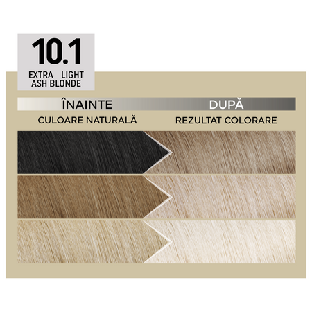 Vopsea de par permanenta Plex Rebuilder Il Salone, 10.1, Extra Light Ash Blonde, Alfaparf 645705