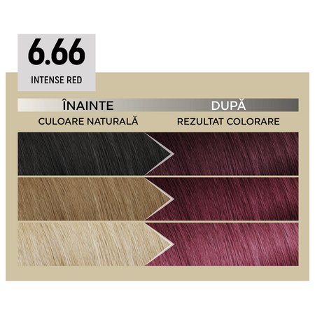 Vopsea de par permanenta Plex Rebuilder Il Salone, 6.66, Intense Red, Alfaparf 645719