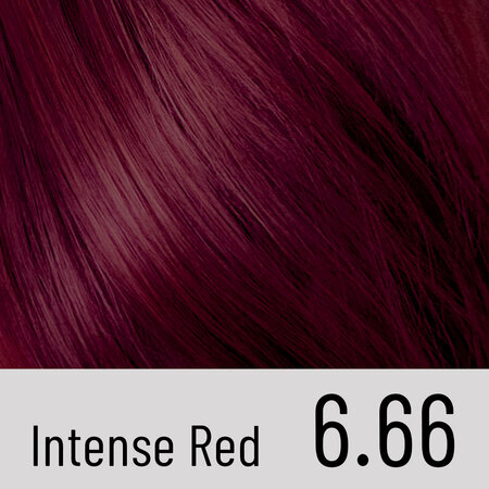 Vopsea de par permanenta Plex Rebuilder Il Salone, 6.66, Intense Red, Alfaparf 645718
