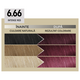 Vopsea de par permanenta Plex Rebuilder Il Salone, 6.66, Intense Red, Alfaparf 645719