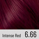 Vopsea de par permanenta Plex Rebuilder Il Salone, 6.66, Intense Red, Alfaparf 645718