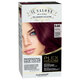 Vopsea de par permanenta Plex Rebuilder Il Salone, 6.66, Intense Red, Alfaparf 645716