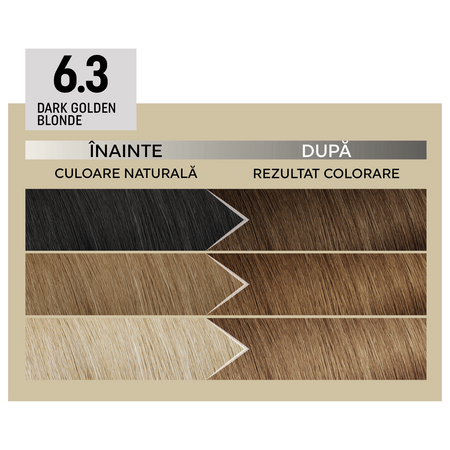 Vopsea de par permanenta Plex Rebuilder Il Salone, 6.3, Dark Golden Blonde, Alfaparf 645731