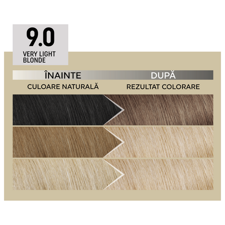 Vopsea de par permanenta Plex Rebuilder Il Salone, 9.0, Light Blonde, Alfaparf 645738