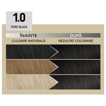 Vopsea de par permanenta Plex Rebuilder Il Salone, 1.0, Pure Black, Alfaparf 645775