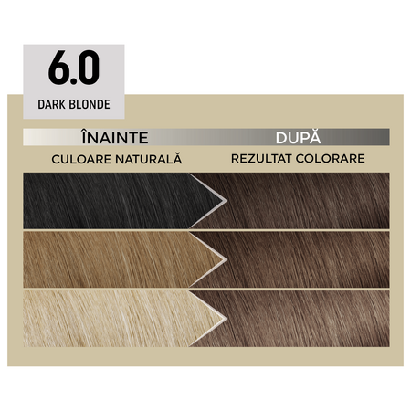 Vopsea de par permanenta Plex Rebuilder Il Salone, 6.0, Dark Blonde, Alfaparf 645794
