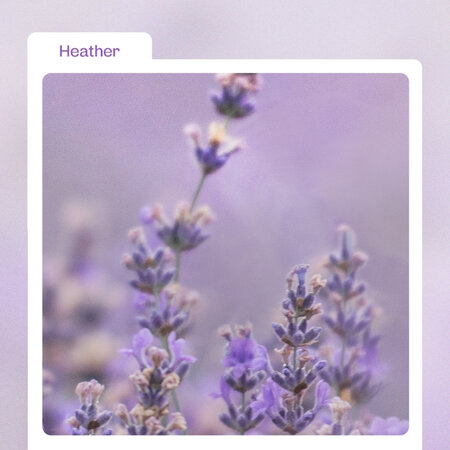Ser pentru calmare si hidratare Heather Calming Essence, 50 ml, Manyo 645909