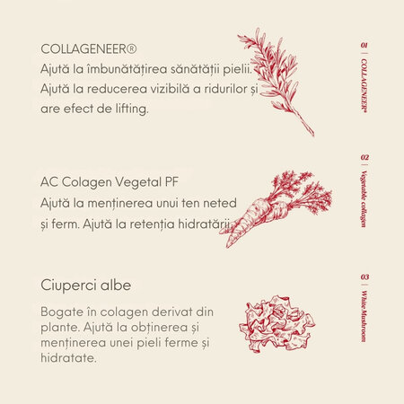 Crema anti-aging VCollagen Heartfit, 50 ml, Manyo 646213