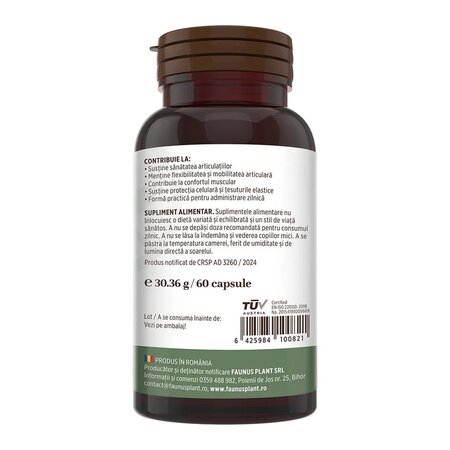 Colagen tip 2 Colagenus, 60 capsule, Faunus Plant 811480