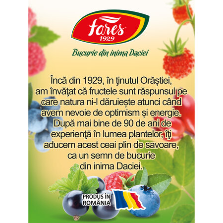 Ceai cu Fructe de padure, 20 plicuri, Fares 722645