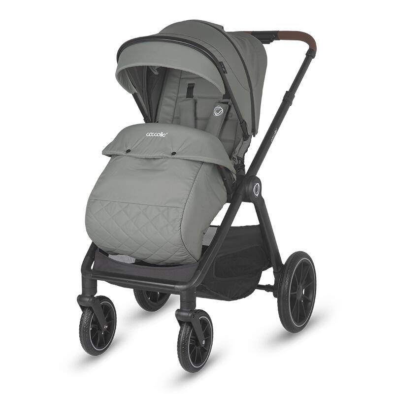 Carucior 2 in 1 pentru copii Samba
