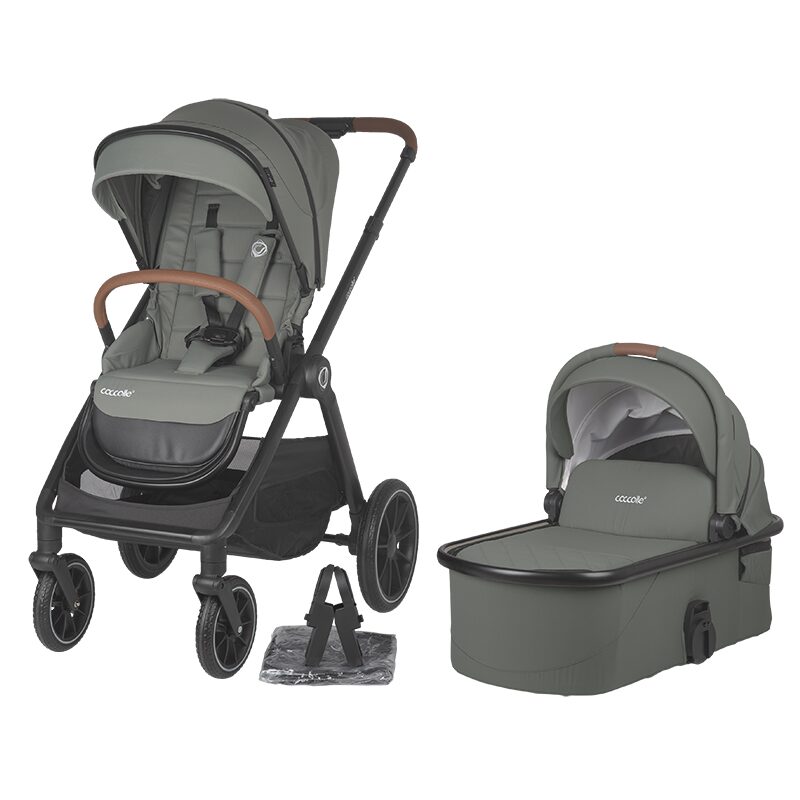 Carucior 2 in 1 pentru copii Samba