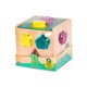 Cub educativ din lemn cu 9 forme diferite, +18 luni, Btoys 652225