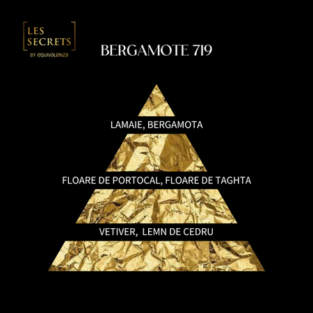 Apa de parfum unisex Les Secrets, Bergamote 719, 50 ml, Equivalenza 656970