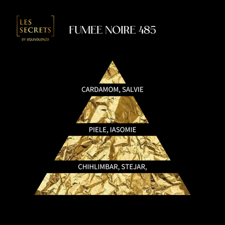 Apa de parfum unisex Les Secrets, Fumee Noire 485, 50 ml, Equivalenza 656989