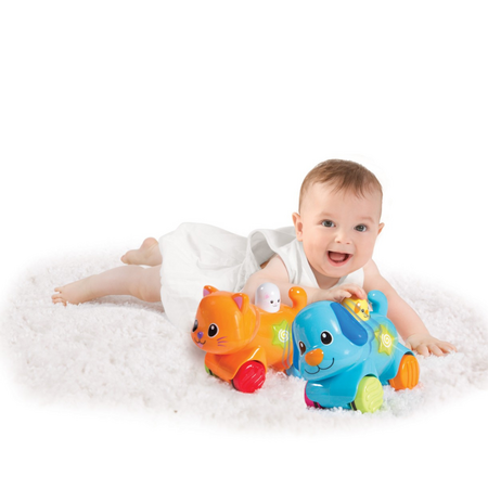 Catelus interactiv, 6 luni+, Bleu, Winfun 657549