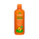 Sampon hidratant cu ulei de avocado, 400 g, Cantu 657949