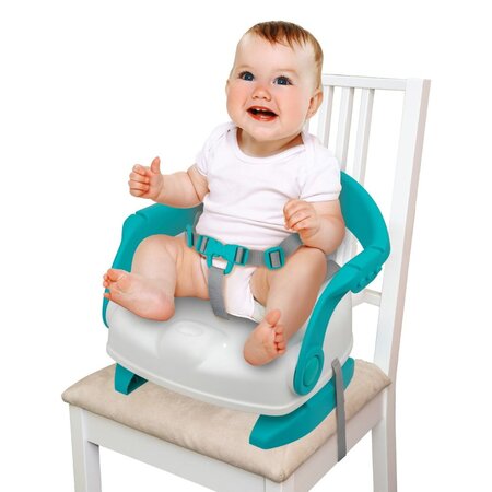 Scaunel portabil 3 in 1, +6 luni, Winfun 658148