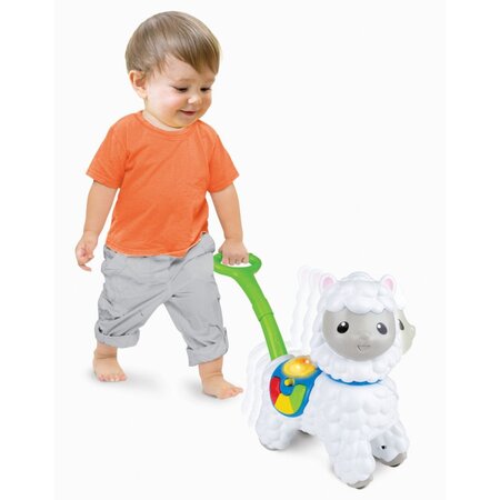 Jucarie de impins Alpaca, +12 luni, Winfun 658244