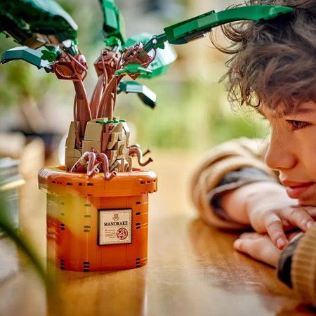 Matraguna, 10+ ani, 76433, Lego Harry Potter 659013