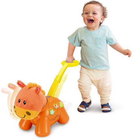 Jucarie de impins Ponei, 12 luni+, Winfun 659443