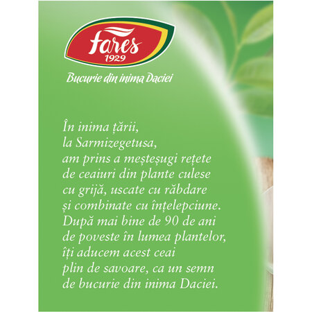 Ceai verde cu menta, 20 plicuri, Fares 722657