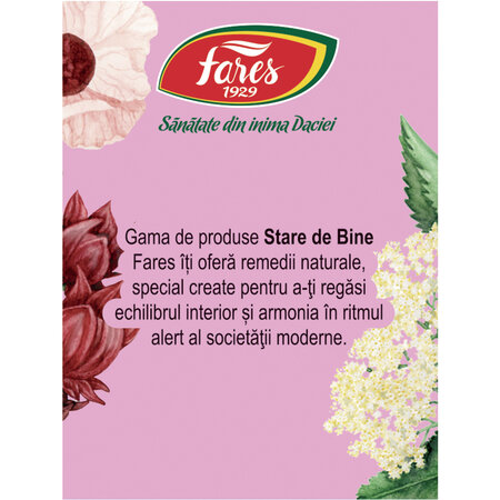 Ceai silueta perfecta, 1 Purificare si Drenaj, 20 plicuri, Fares 718160