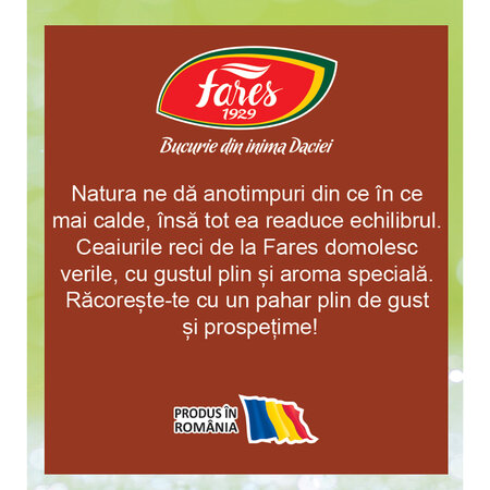 Ceai rece cu frunze de cafea, 12 plicuri, Fares 723107