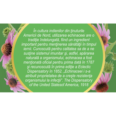 Ceai de echinacea, 50g, Fares 720852