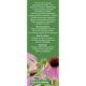 Ceai de echinacea, 50g, Fares 720851