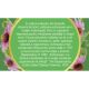 Ceai de echinacea, 50g, Fares 720852