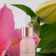 Set de placere The Minis Pleasure Collection, HighOnLove 663689