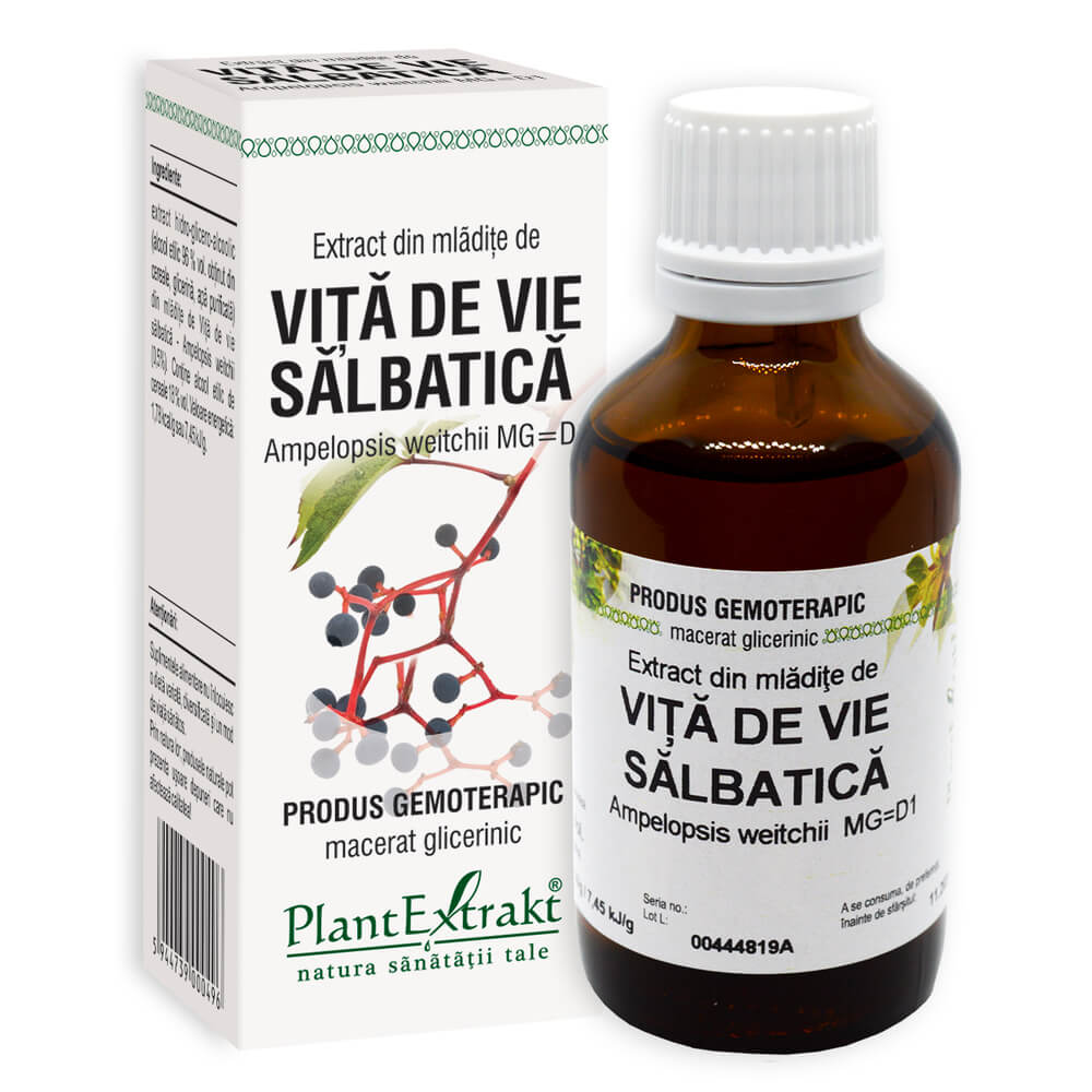 Extract din mladite de Vita de Vie Salbatica, 50 ml, Plant Extrakt