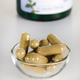 Cordyceps, 600 mg, 120 capsule, Swanson 664895