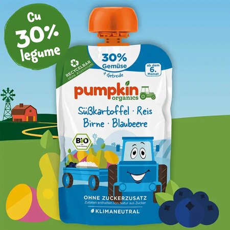 Piure Bio de cartofi dulci cu orez, pere si afine, +6 luni, 100 g, Pumpkin Organics 672686