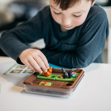 Joc de logica 60 provocari in limba romana Squirrels Go Nuts!, +6 ani, Smart Games 671521