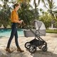 Carucior 2 in 1 Mixx Next, Birch, Nuna 534198