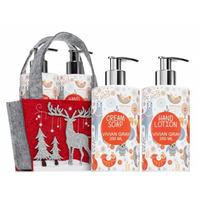 Set Sapun lichid si Crema de maini Glittering Christmas, 2x250 ml, Vivian Gray
