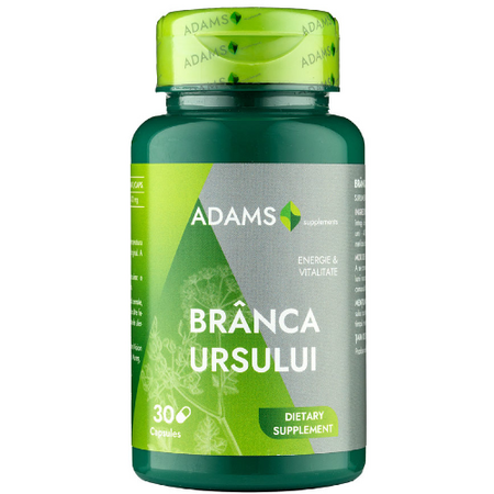 Branca ursului, 400 mg, Adams