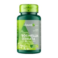 Boswellia Serrata, 350 mg, 30 capsule vegetale, Adams Supplements