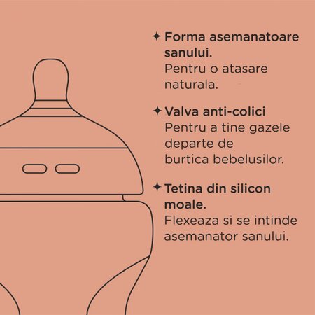 Biberon PP cu autosterilizare Natural Start, 0 luni+, 260 ml, 3 buc, Tommee Tippee 673437
